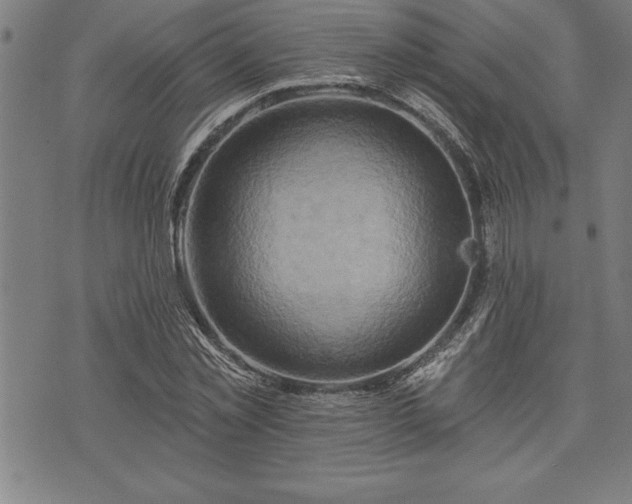 X0000075830781200609221639