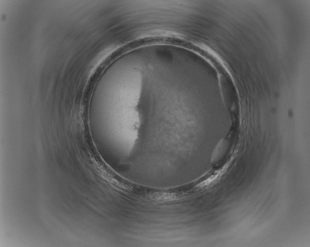 X0000075830783200609221639