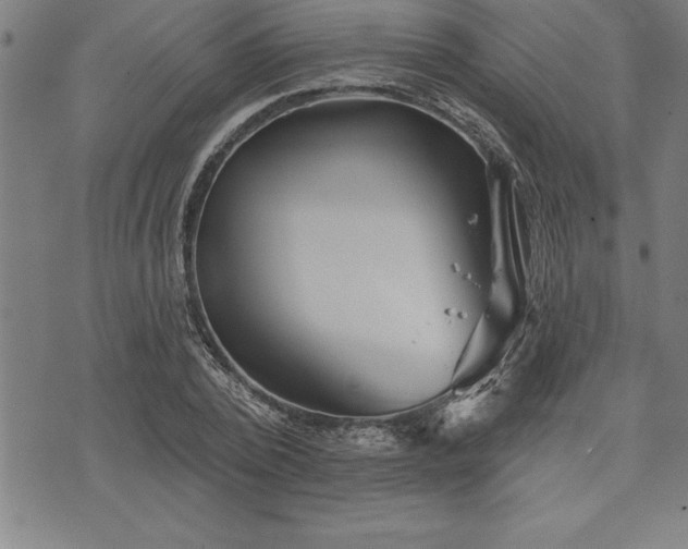 X0000075830784200609221639