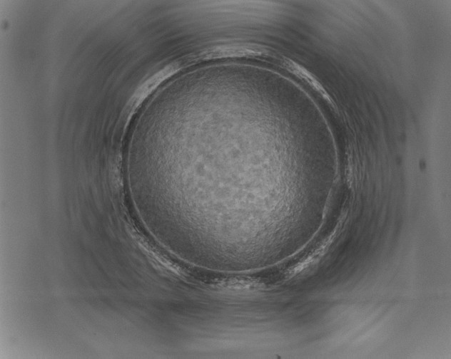 X0000075830786200609221639