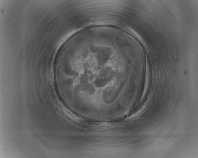 X0000075830787200609221639