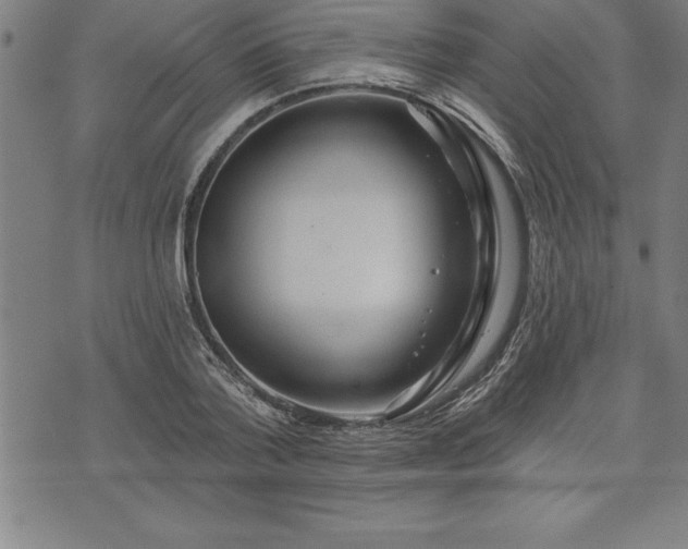 X0000075830788200609221639