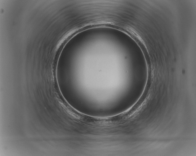 X0000075830789200609221639