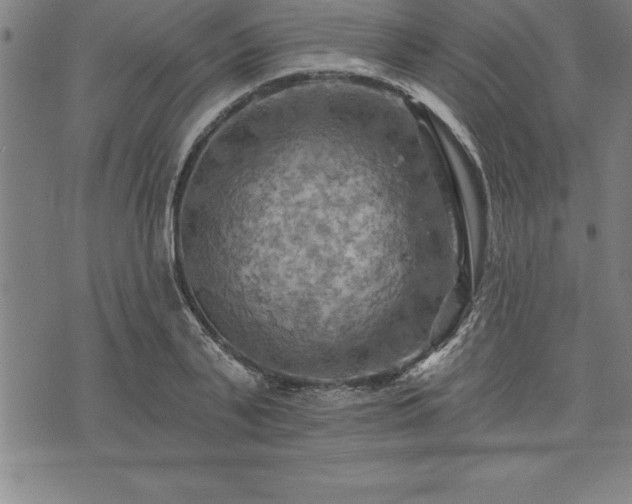 X0000075830791200609221639