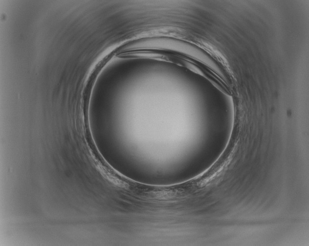 X0000075830792200609221639