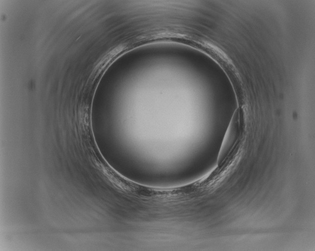 X0000075830793200609221639