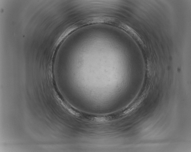 X0000075830794200609221639