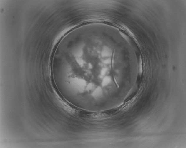 X0000075830795200609221638