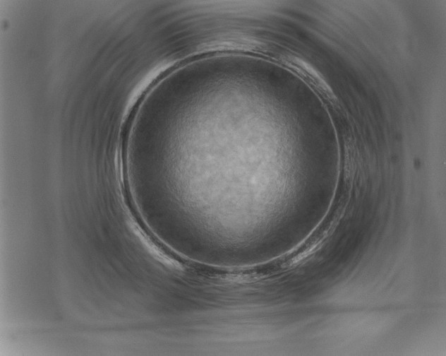 X0000075830796200609221638