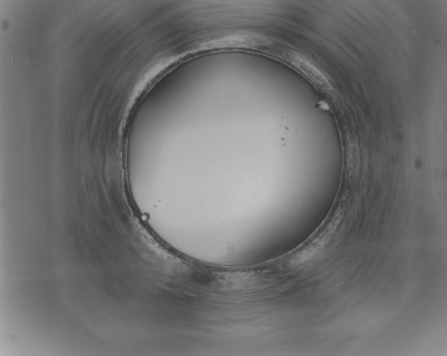 X0000075830800200609221638