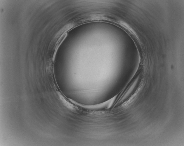 X0000075830801200609221638