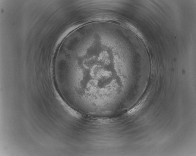 X0000075830803200609221638