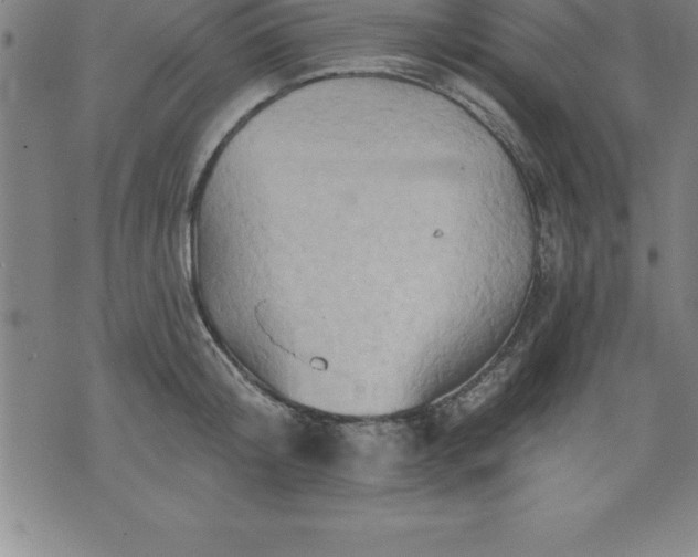 X0000075830804200609221638