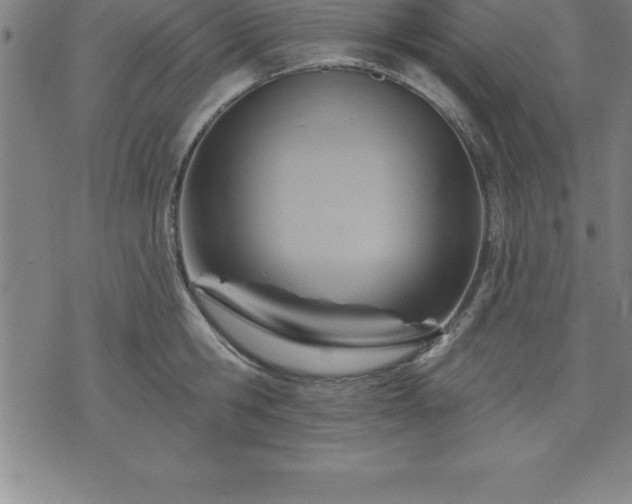 X0000075830806200609221638