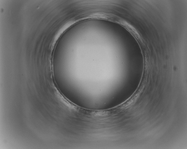 X0000075830808200609221638