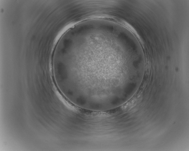 X0000075830811200609221638