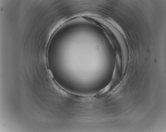 X0000075830813200609221638