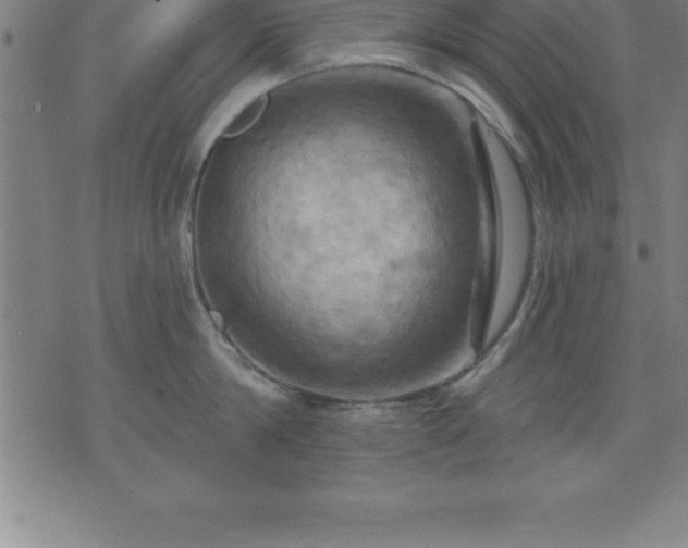 X0000075830814200609221638