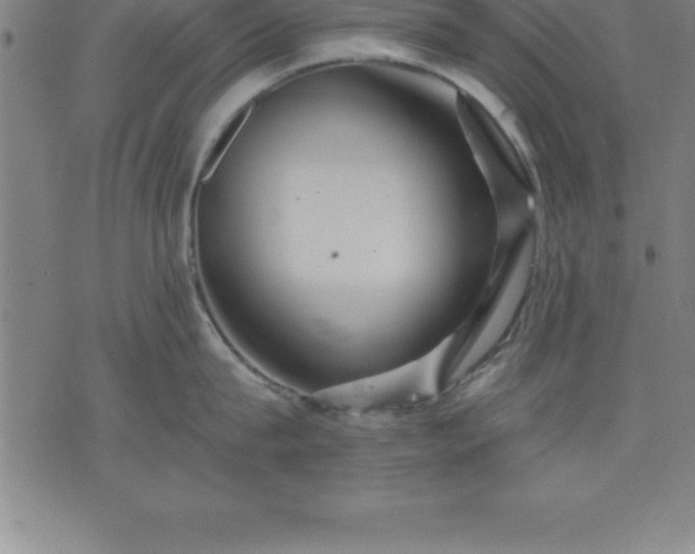 X0000075830815200609221638