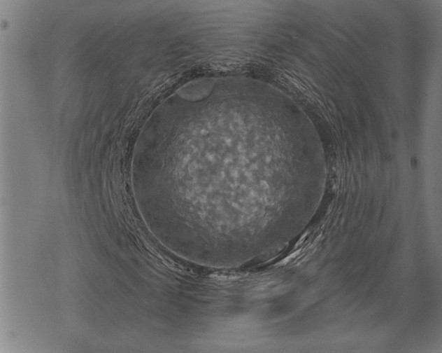 X0000075830817200609221637