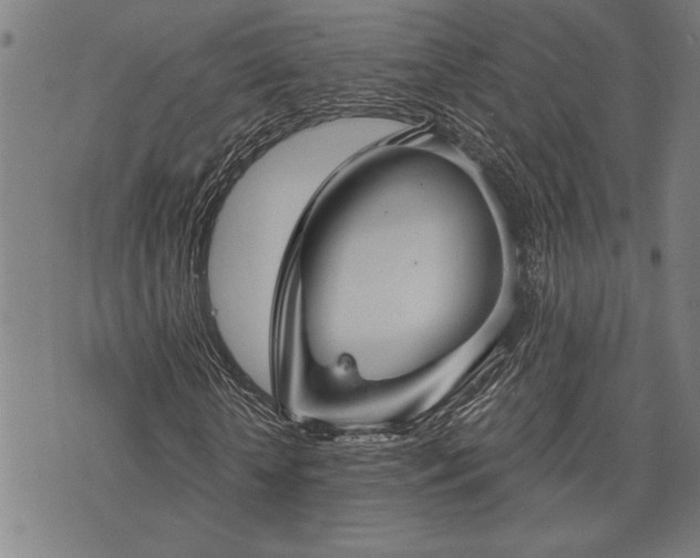 X0000075830818200609221637