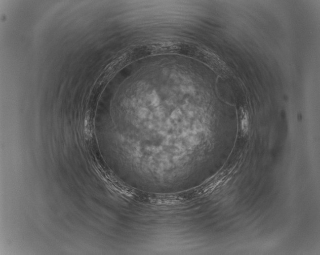 X0000075830819200609221637