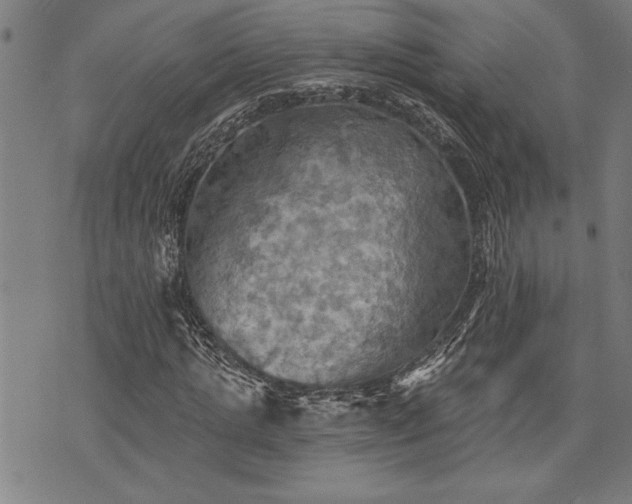 X0000075830821200609221637