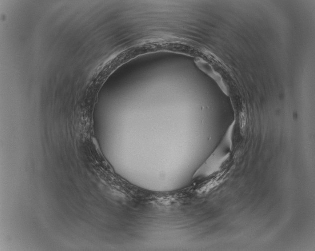 X0000075830822200609221637