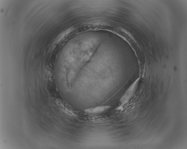 X0000075830823200609221637