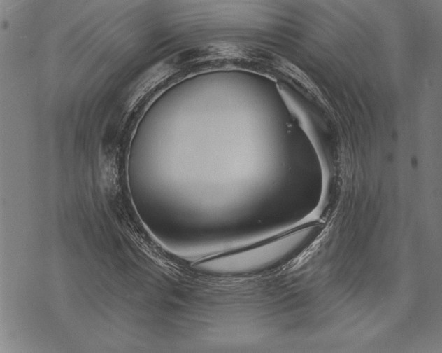 X0000075830826200609221638