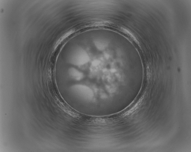 X0000075830827200609221638