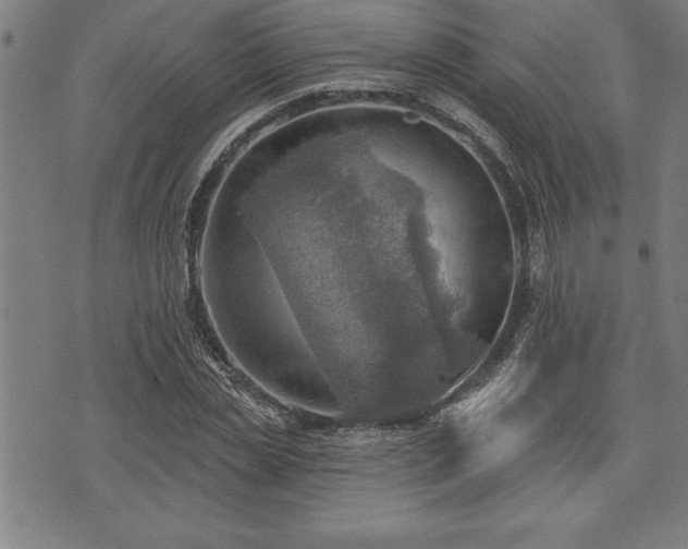 X0000075830829200609221638