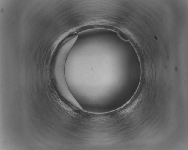 X0000075830830200609221638