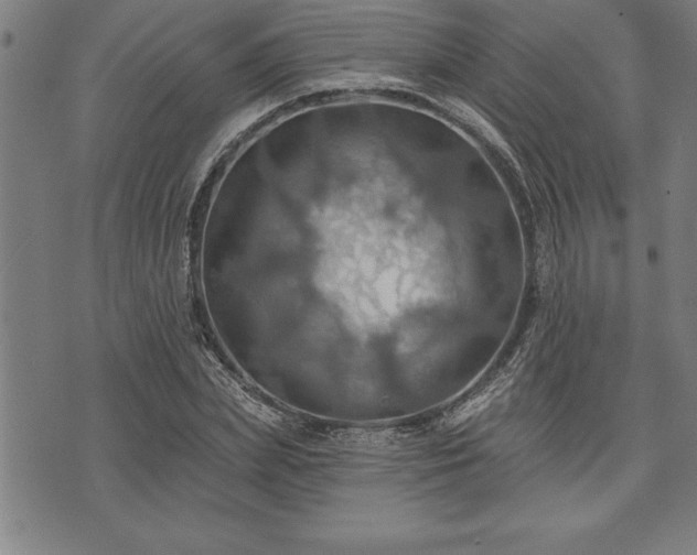 X0000075830831200609221638