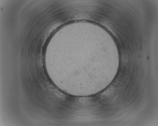 X0000075830832200609221638