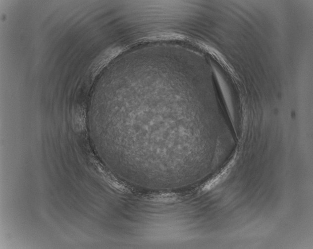 X0000075830833200609221638