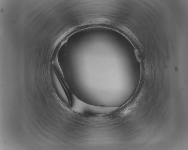 X0000075830834200609221638