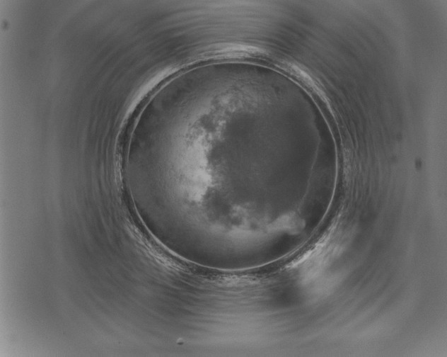 X0000075830835200609221638