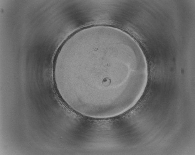 X0000075830836200609221638