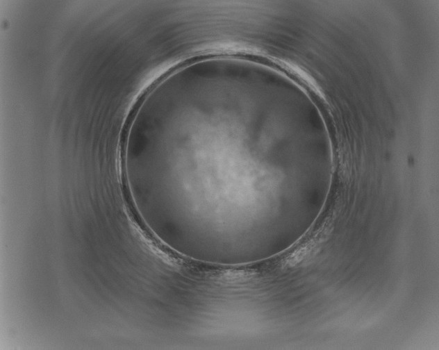 X0000075830839200609221638