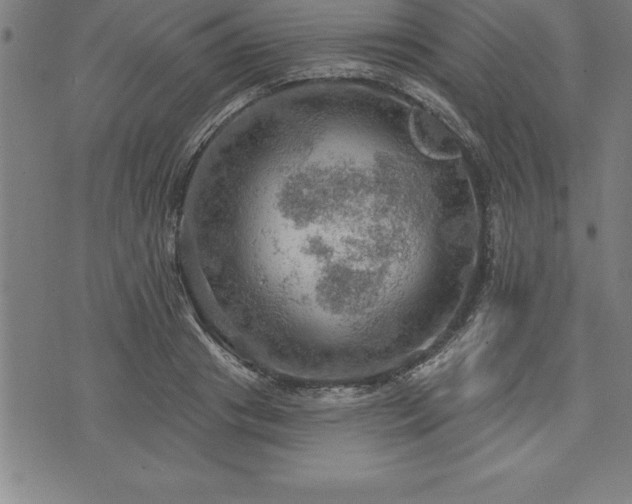 X0000075830841200609221638