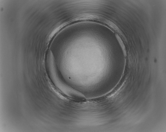 X0000075830842200609221638