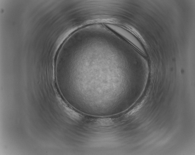 X0000075830844200609221638