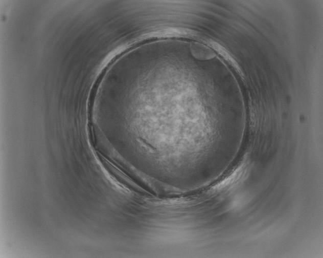 X0000075830845200609221638