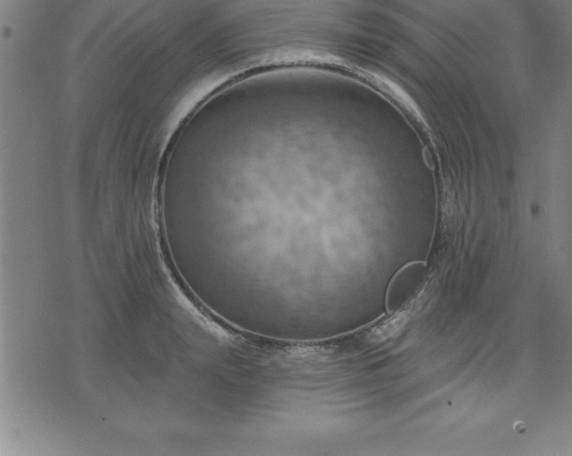 X0000075830847200609221638