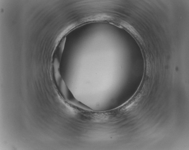 X0000075830850200609221638