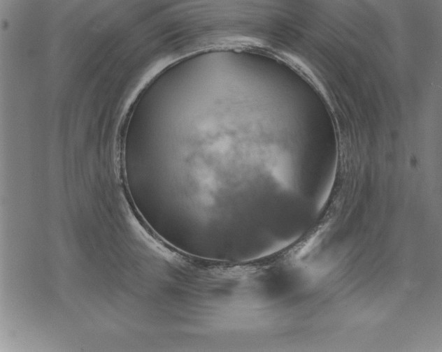 X0000075830851200609221638