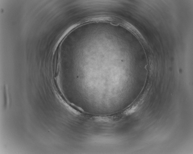 X0000075830852200609221638