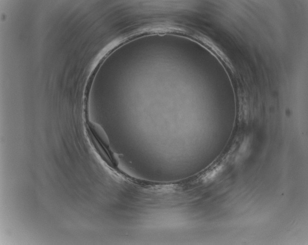 X0000075830853200609221638