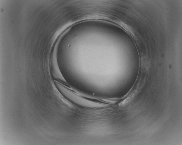 X0000075830854200609221638